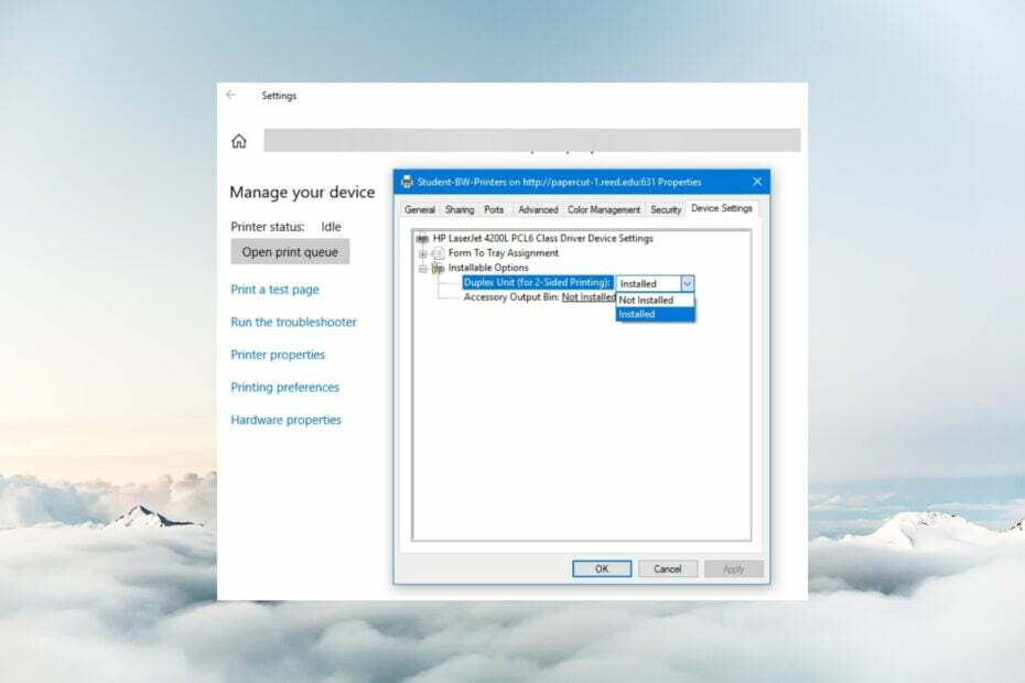Dupleksudskrivning Windows 11