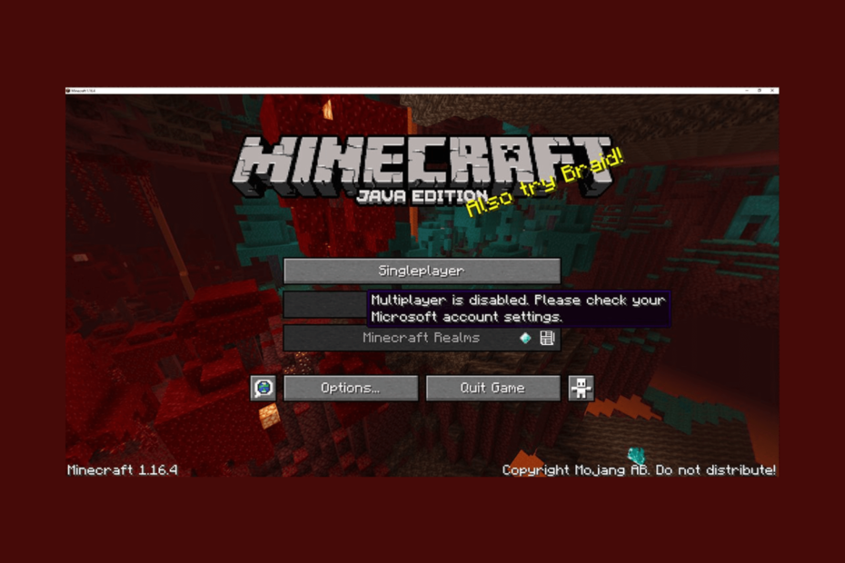 Minecraft erlaubt keinen Mehrspielermodus (1)