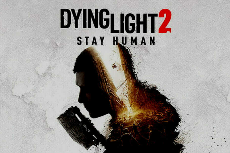 Dying Light 2 Double Time באג [מדריך מהיר]