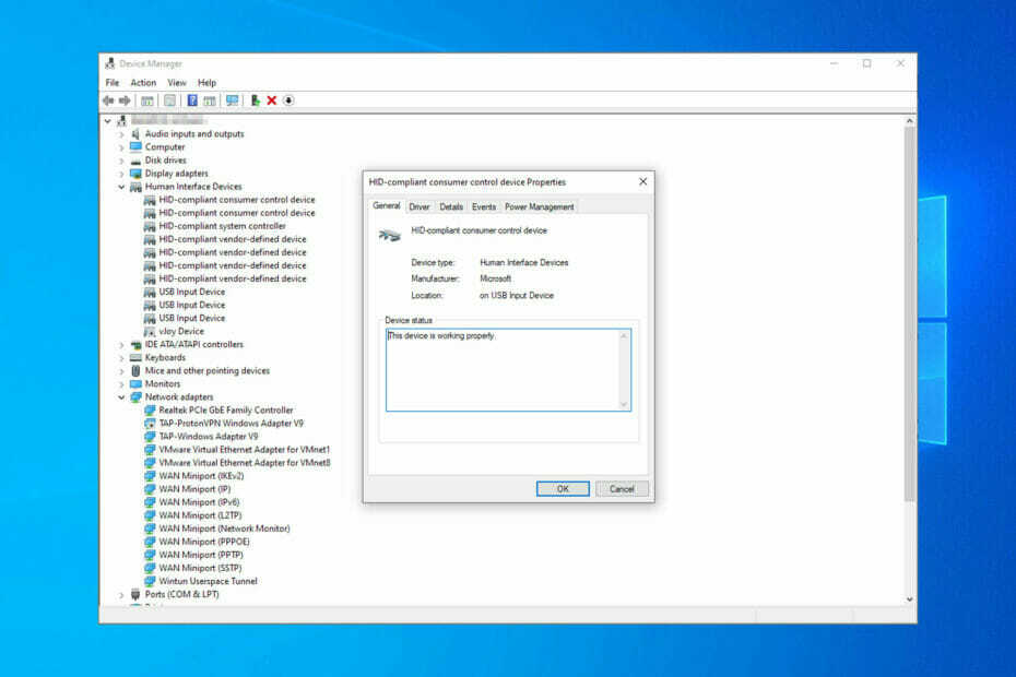 Naprava zahteva nadaljnjo namestitev v sistemu Windows 10 11