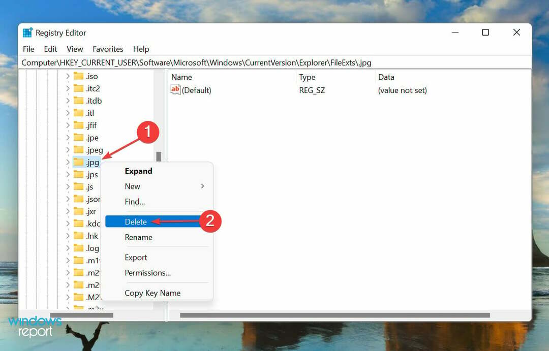 Odstranit klíč k systému Windows 11 odstranit přidružení souboru