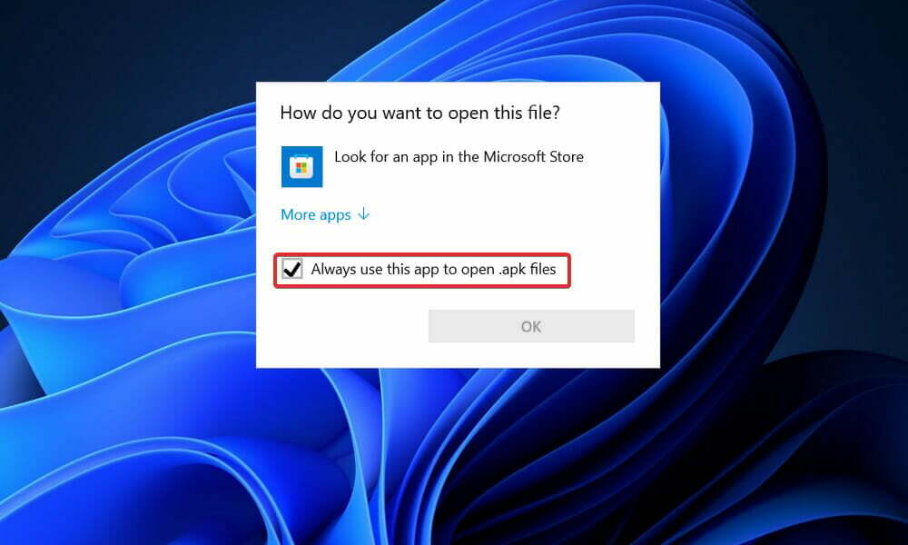 apk-failid Windows 11 – WSA ei tööta