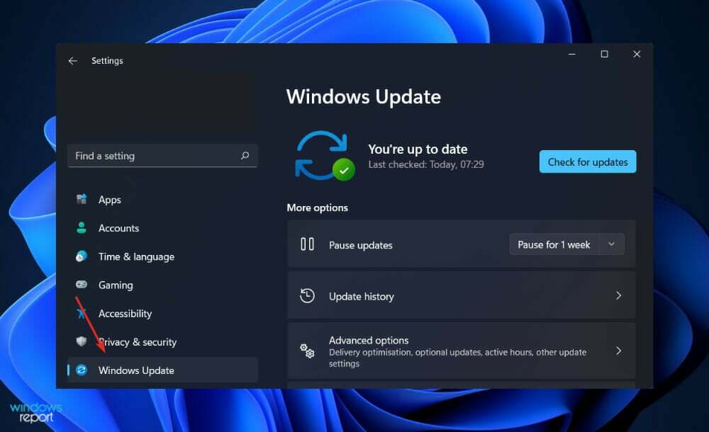 update-windows Windows Live fotoattēlu galerijā radās kļūda, ielādējot wix photoviewer.dll