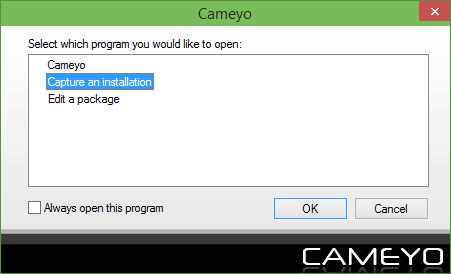 cameyo-ikkunat 10 1
