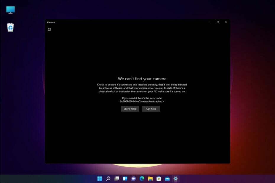 webcam werkt niet in Windows 11
