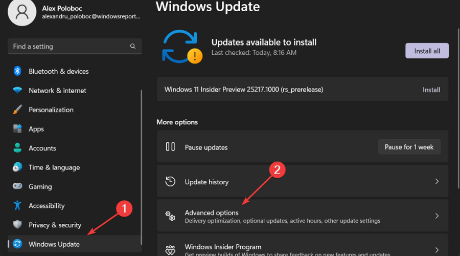 Erweiterte Optionen für Windows-Updates