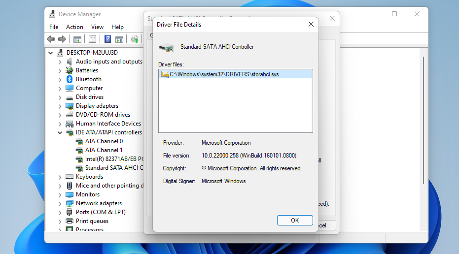Išsamios tvarkyklės failo informacijos langas „dpc watchdog“ pažeidimas „Windows 11“.