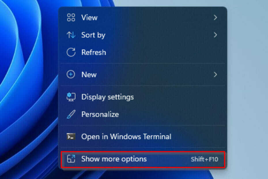 Windows 11의 추가 옵션 메뉴 표시를 비활성화하는 방법